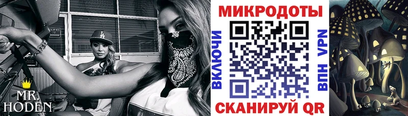 гидра   площадка как зайти  Псилоцибиновые грибы мухоморы  Динская 